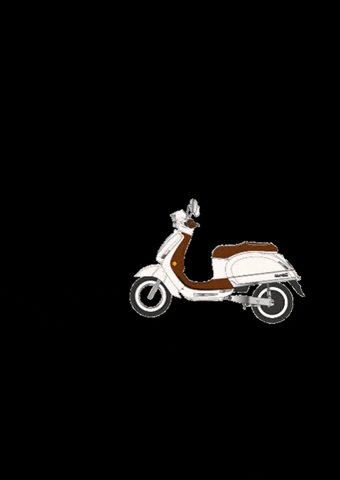 Kumpan electric GIF