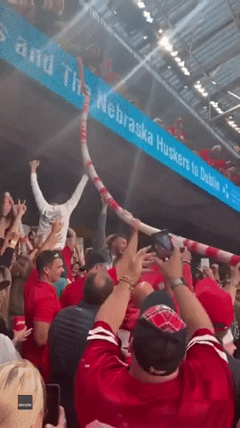 College Football GIF by Storyful