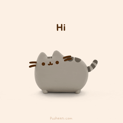 Test Hello GIF by Pusheen