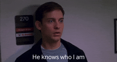 Spider-Man GIF
