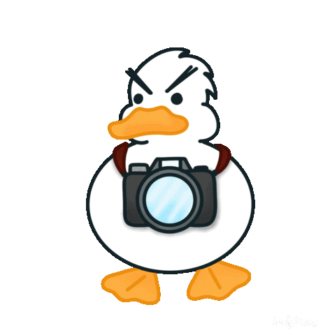 Camera Sticker