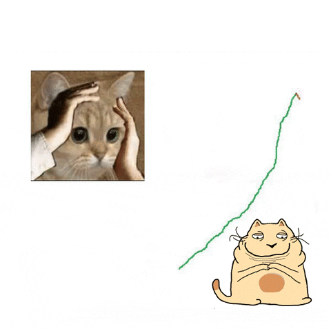 Cat Noodle GIF