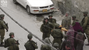 yallafeed  GIF
