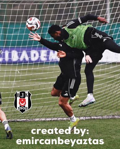 Beşiktaş GIF