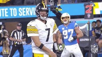 Pittsburgh Steelers Shrug GIF by NFL
