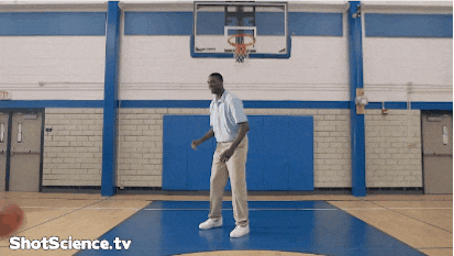 Tall Woman GIFs - Get the best GIF on GIPHY
