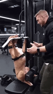 Dog Lat Pulldown GIF