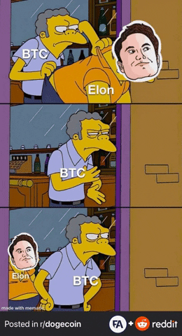 Elon Musk Bitcoin GIF by Forallcrypto