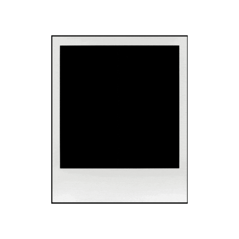 Northern Lights Photo Sticker by Alaska Wild Lights