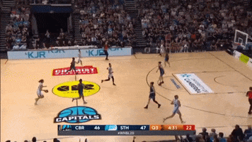 Block Defence GIF by BasketballAustralia
