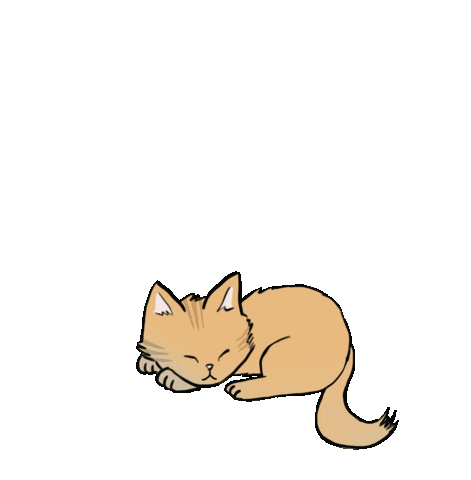 Good Night Cat Sticker