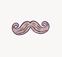 Dance Hair GIF by Shredding Sassy