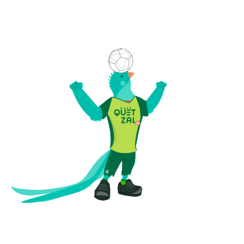 Cafequetzal Sticker by Coopedota