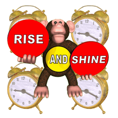 Digital art gif. Monkey opens and closes his mouth as he holds up two red signs and has a yellow sign on his belly that together read, “Rise and shine.” Behind the monkey are four golden alarm clocks that are ringing.
