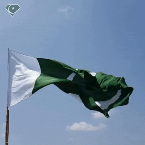 Flag Pakistan GIF
