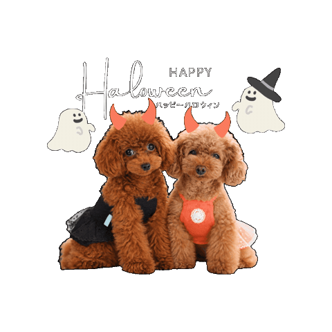 Sticker by kalina_wans_gogoh