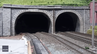 Paw-don Me: Cat Squeezes Out of Model Train Tunnel