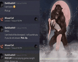 Discord Kitten GIF