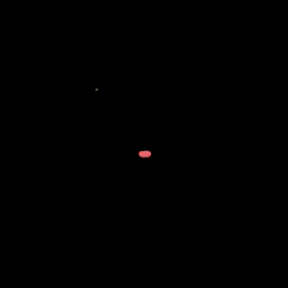 Oala GIF
