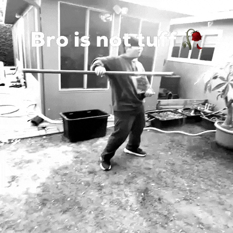 Bro Is Not Tuff GIF
