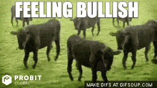 Bitcoin Cow GIF by ProBit Global