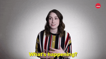 This Is Crazy Whats Happening GIF by BuzzFeed