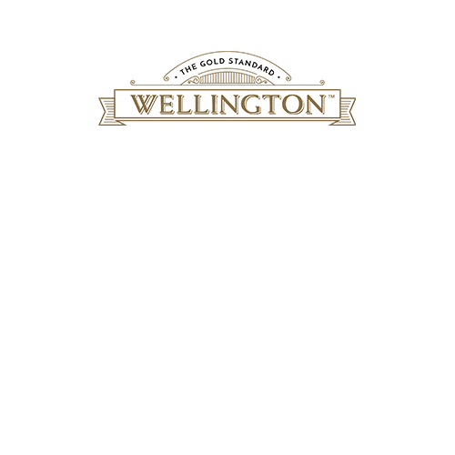 Gold Standard Smores Sticker by Wellington Crackers