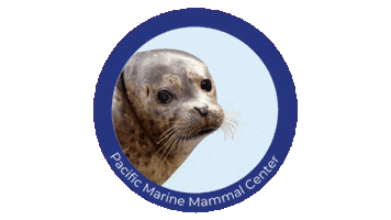 Pacificmmc Sticker