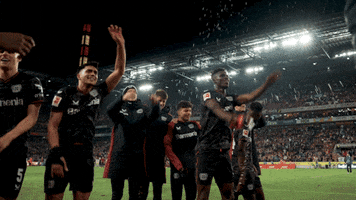 Bayer 04 Dancing GIF by Bayer 04 Leverkusen