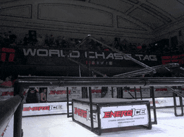 Sport Fail GIF by World Chase Tag