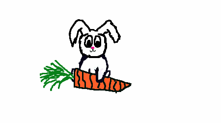 bunny
