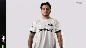 Come At Me GIF by MIBR