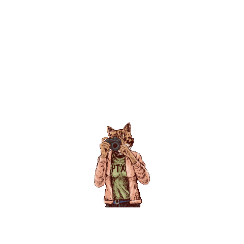 Cat Sticker