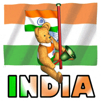 Made In India Indian Flag GIF