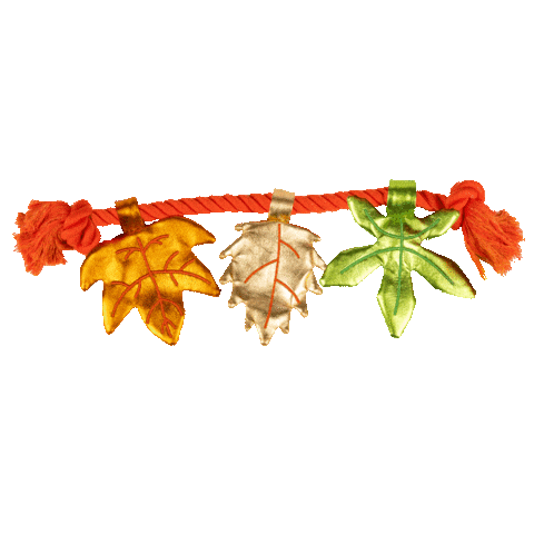 Dog Toy Fall Sticker by Woof & Whiskers Pet