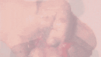 GIF by PALMAS