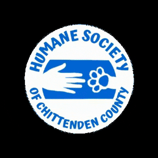 Humane Society GIF by hsccvt