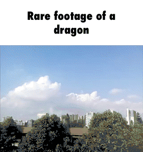 dragon