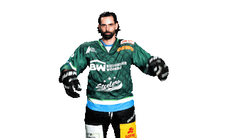 Bietigheim Steelers Sticker