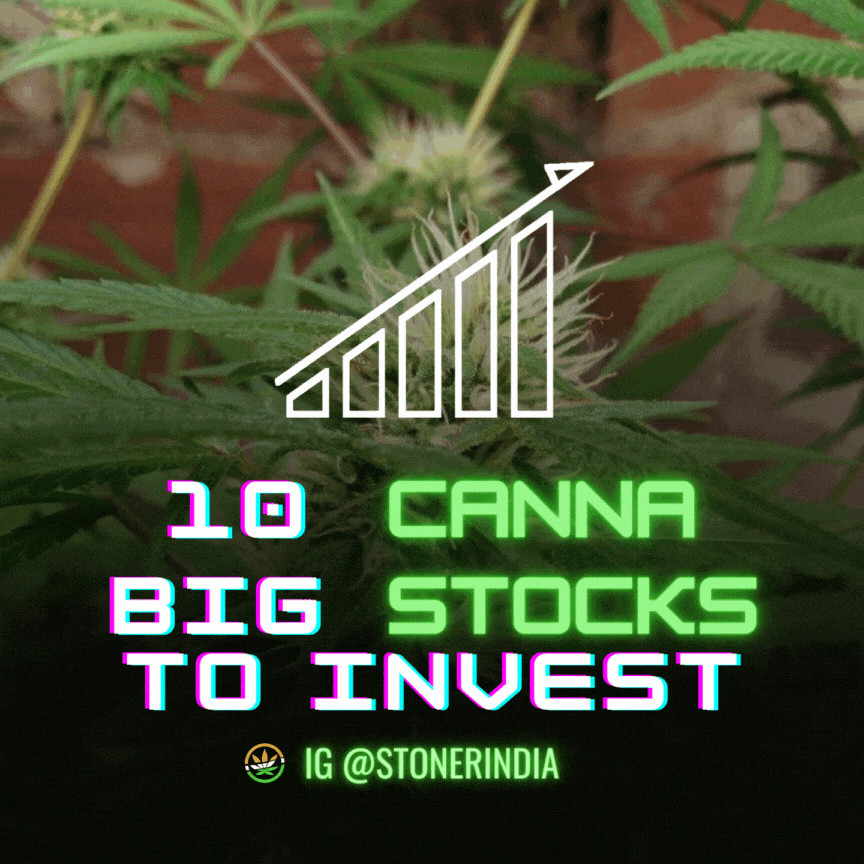 Cannabis Industry GIF