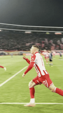 GIF by FK Crvena zvezda
