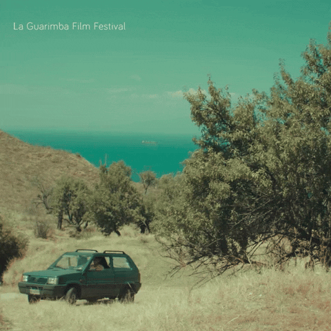 Summer Driving GIF by La Guarimba Film Festival