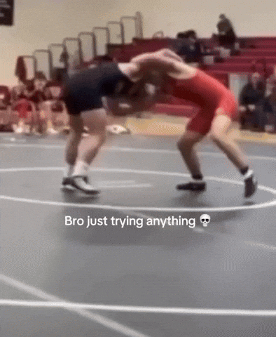 Wrestling Mma GIF