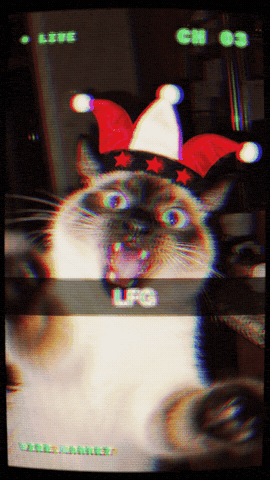 Excited Lets Go GIF by Vibe.market