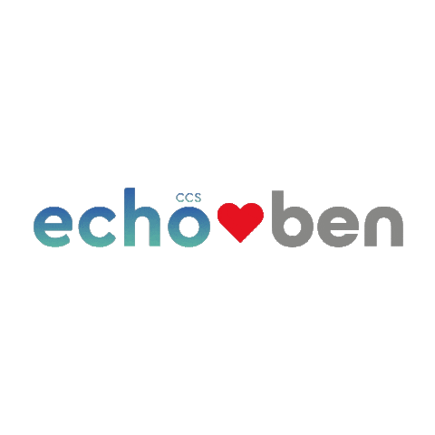Echo ccs Sticker