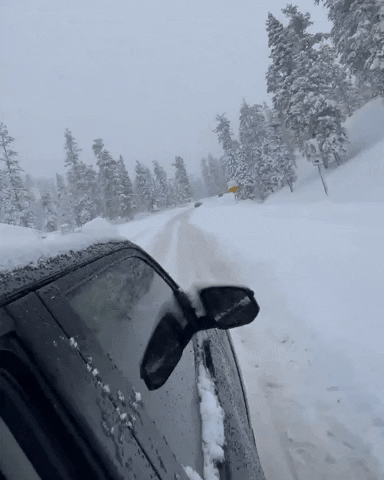 Car Driving GIF by Storyful