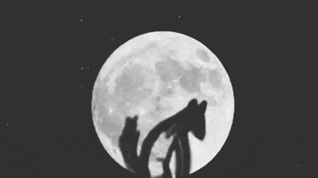 Howling Full Moon GIF by Barbara Pozzi