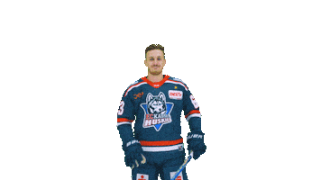 Huskie Sticker by EC Kassel Huskies