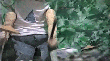 jeff the brotherhood punk GIF by Infinity Cat Recordings