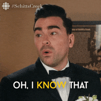 Yes I Know Schitts Creek GIF by CBC